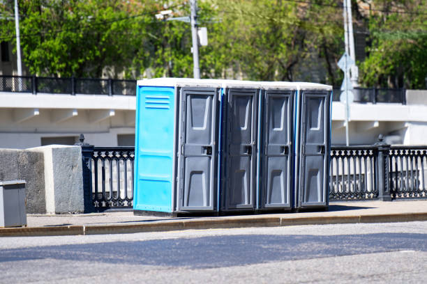 Best Portable bathroom rental  in Storm Lake, IA